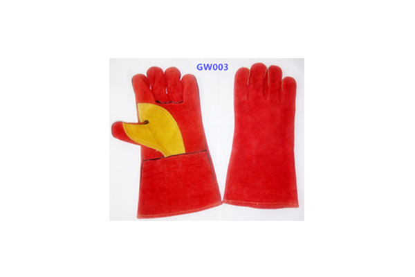 GW003