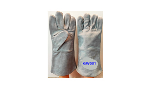 GW001