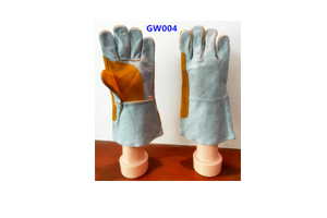 GW004