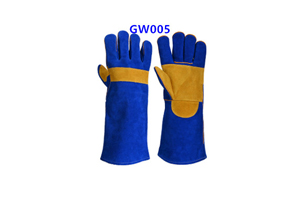 GW005